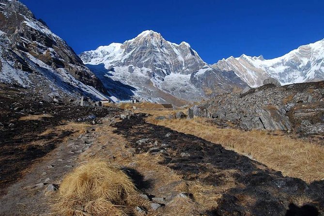 Annapurna Base Camp, Nepal 10 days - Price check: what you really get for $848
