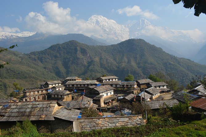 Annapurna Base Camp, Nepal 10 days - Bamboo to Deurali at 3230m: when the air changes