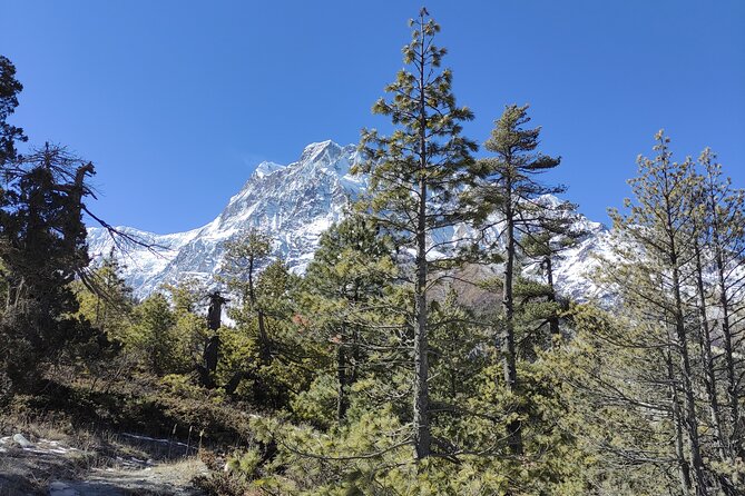 Annapurna Base Camp Trek 10 Days - Key highlights you will care about