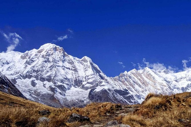 Annapurna Base Camp Trek- 11 Days - Flying back to Kathmandu and finishing at the meeting point (Days 10 to 11)