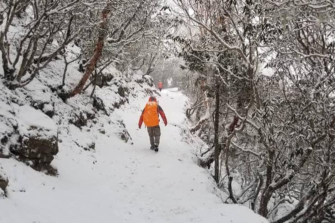 Annapurna base camp trek 5 Days - Day 6: Back toward Pokhara via Chomrong and Jhinu hot spring area