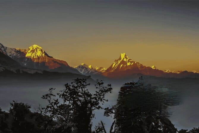Annapurna Base Camp Trek 5 Days from Pokhara - Day 2 to Dovan: Quiet Forest Trek at About 2,600 Meters