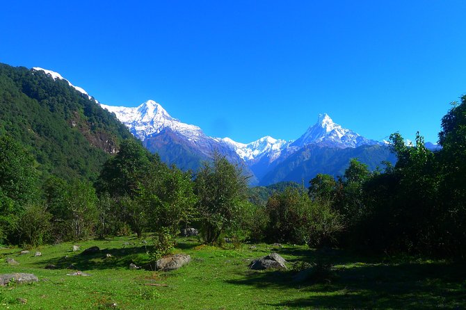 Annapurna Base Camp Trek -8 days - Jhinu Danda hot springs: the reward stop you can actually enjoy