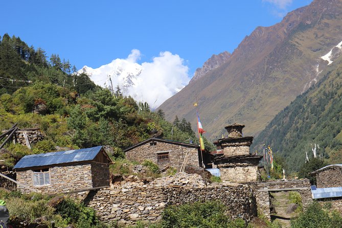 Annapurna Base Camp Trek -8 days - Chomrong day: ridge walking, forest shade, and the classic ABC build-up
