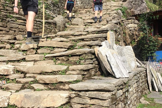 Annapurna Base Camp Trek from Pokhara - Price and Value: Is $335 a Good Deal for Annapurna Base Camp?