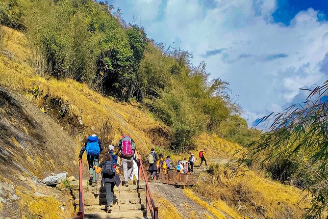 Annapurna Base Camp Trekking 09 Days - Sunrise, Then Down: Bambo Hotel and the Descent