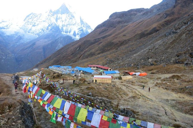 Annapurna Base Camp Trekking - 14 Days - Bamboo and Jhinu Danda: the descent that still demands attention