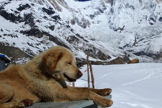 Annapurna Base Camp with Poon hill 9-Day Trek Itinerary - Key highlights at a glance