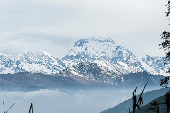 Annapurna Base Camp with Poon hill 9-Day Trek Itinerary - The big day: Annapurna Base Camp via Machhapuchhre Base Camp (Day 6)