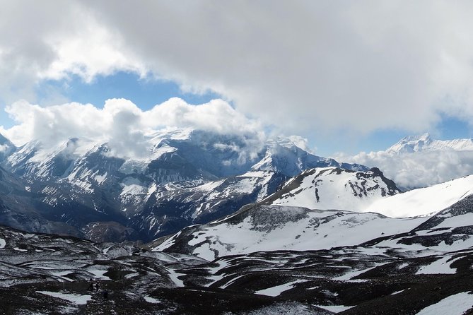 Annapurna Circuit Trek 12 days - Wildlife and ecosystems: what you might see, and why it matters