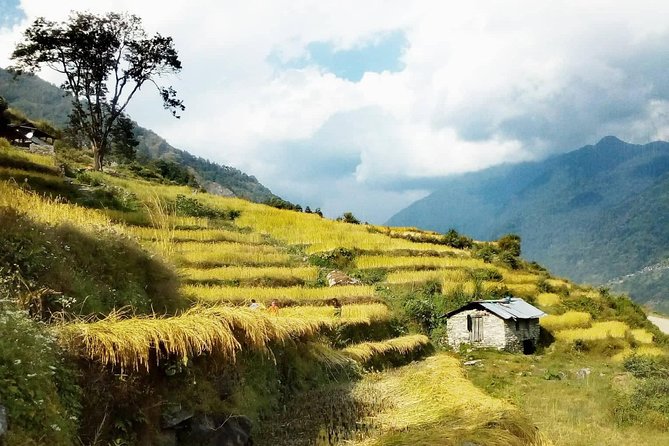 Annapurna Circuit Trekking -17 Days - Yak Kharka to Phedi: Getting Ready for the Pass