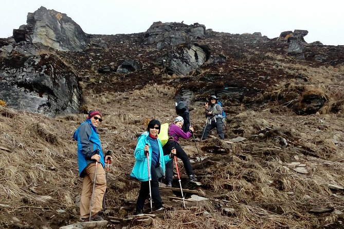 Annapurna: Mardi Himal Base Camp Trek - Day 4: High Camp for bigger views, still with a manageable timeline