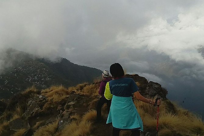 Annapurna: Mardi Himal Base Camp Trek - Day 7: Siding to Milan Chowk by jeep, then back to Pokhara