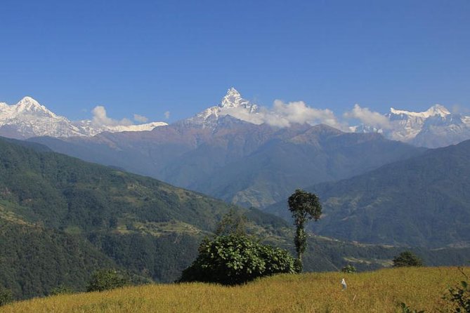 Annapurna Panorama trek - Key takeaways before you choose this trek