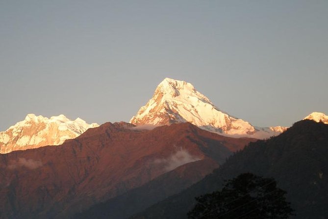 Annapurna Panorama trek - Kathmandu days: temples, Thamel wandering, and a smooth arrival rhythm