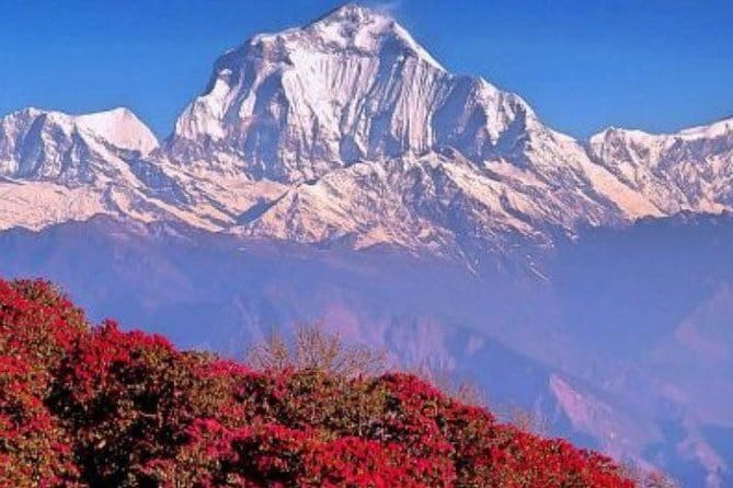 Annapurna Poon hill Sunrise Trek - Why Poon Hill sunrise feels like a smart move