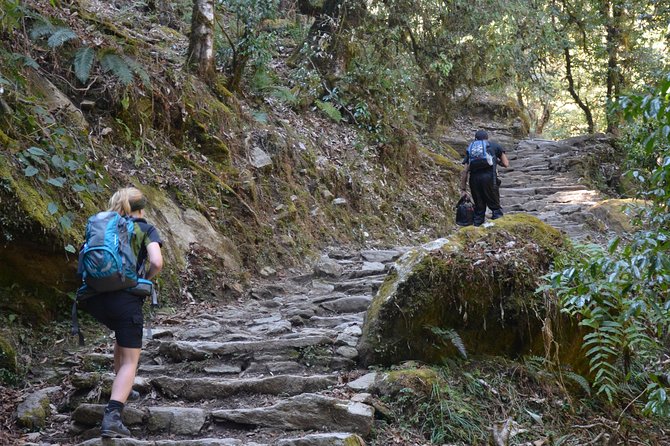 Annapurna Poonhill Trek - Day 2: the 7-hour drive to Pokhara and what it means for you
