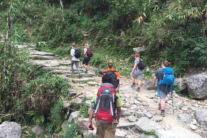 Annapurna Poonhill Trek - Day 4: Ulleri steps to Ghorepani, the day for leg stamina