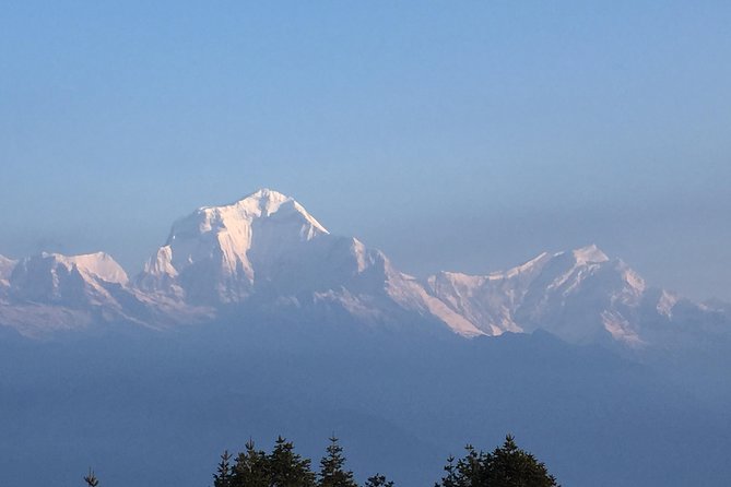 Annapurna Poonhill Trek - Day 5: the Poon Hill sunrise, then the trek to Tadapani