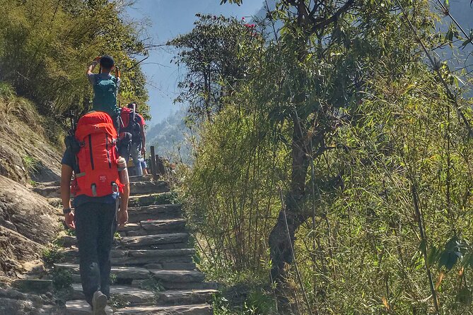 Annapurna Sanctuary Trek ( 11 Days) - Annapurna Base Camp at 4,130 Meters: The Peak Day You Remember