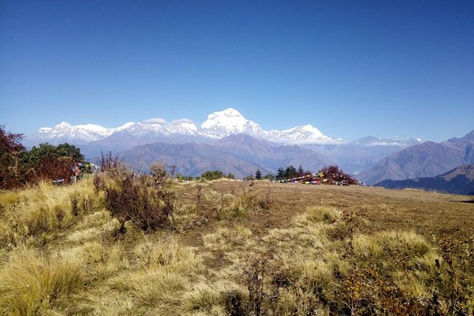 Annapurna Sunrise Trek - Key Highlights You’ll Feel on the Trail