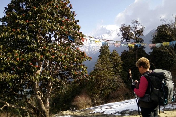 Annapurna Sunrise Trek - Day 5 Poon Hill Sunrise: The Early Hike That Earns Its Fame