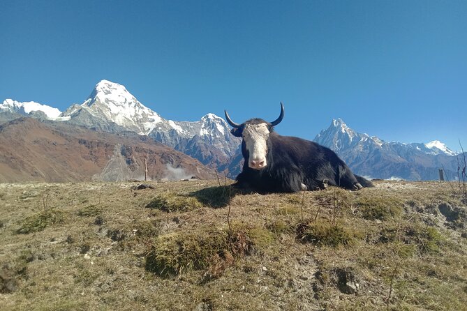 Annapurna View Trek - What to pack for a comfortable Annapurna View Trek