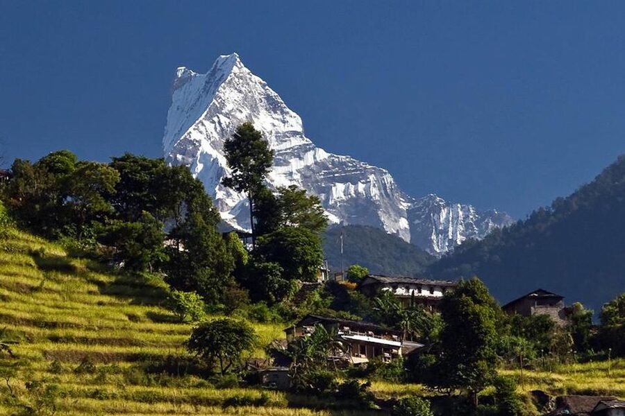 Australian Base Camp Day Hike From Pokhara - Why This Australian Camp Hike Feels Like the Best Use of a Short Pokhara Stay