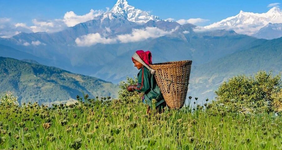 Australian Base Camp Hike For Sunrise over the Himalayas - Comfort and packing tips for a sunrise start