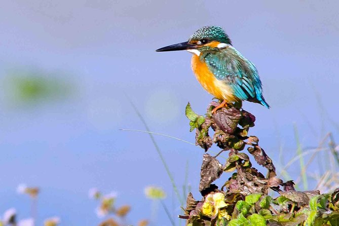 Best of Nepal Luxury Adventure Tour Package - 9 Days - Key things that make this tour worth your attention