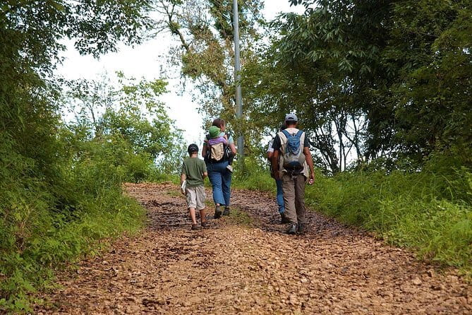 Birding Hike: Day Birdwatching in Kathmandu - Key things to know before you go