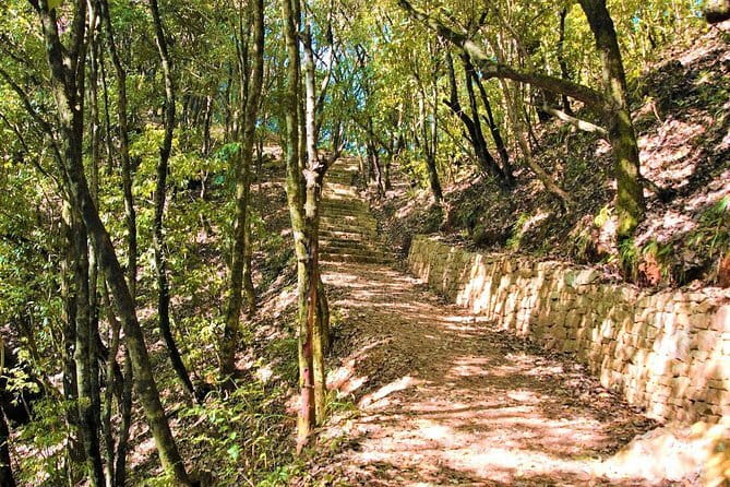 Birding Hike: Day Birdwatching in Kathmandu - The guides: names to remember, traits to look for