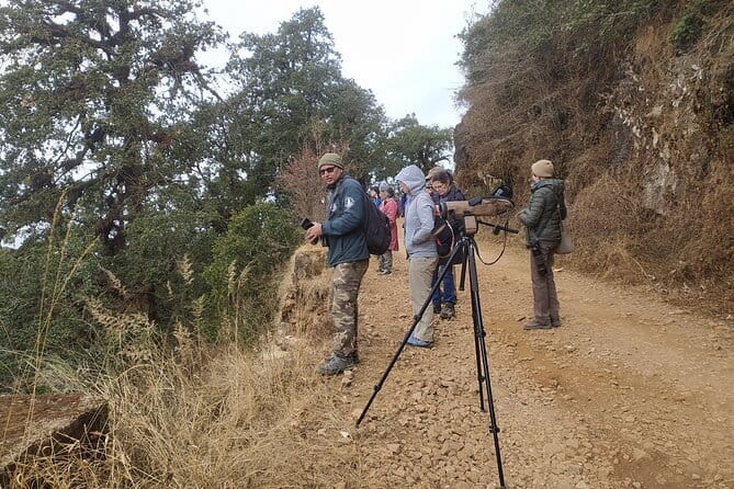 Birding Hike: Day Birdwatching in Kathmandu - Meeting point timing and how the day actually feels