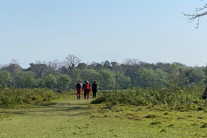 Canoeing and Nature Walk in Chitwan National Park - Sauraha morning logistics: simple, fast, and actually worth it