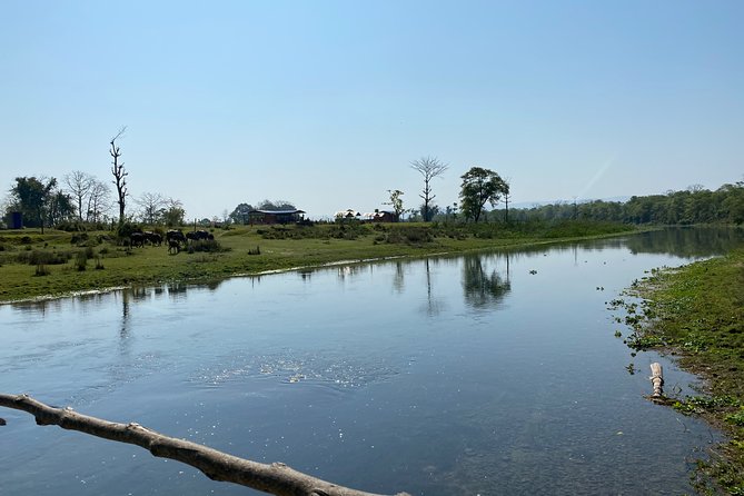 Canoeing and Nature Walk in Chitwan National Park - What makes this tour good value for the money