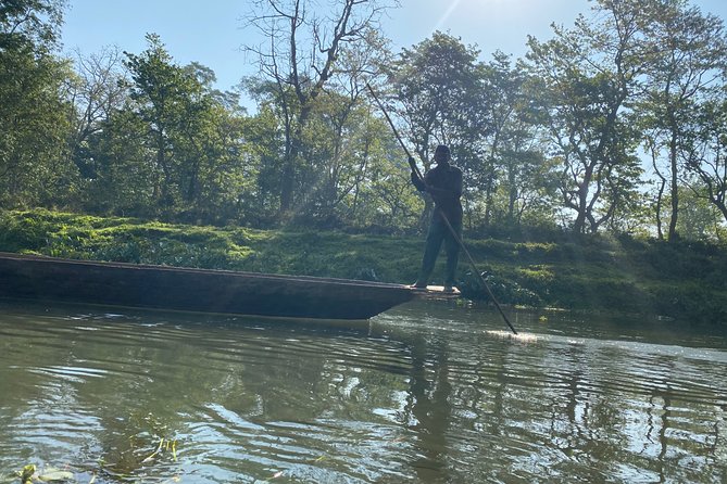 Canoeing and Nature Walk in Chitwan National Park - Tour flow: what happens when (and where to pay attention)