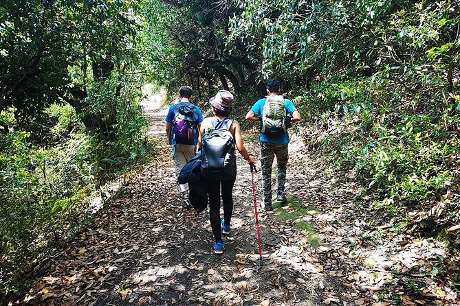 Chisapani - Nagarkot Trek Nepal - 3 Days - Ridge Walk to Changu Narayan Temple and Changunarayan Finish (Day 3)