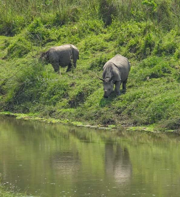 Chitwan: Full-Day Safari Canoeing and Jungle Walk and Jeep - Starting in Sauraha, with a plan that keeps you moving
