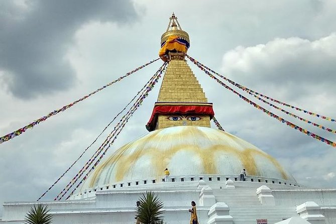 Chitwan Jungle Safari-All inclusive 3 Days Chitwan Tour - Should you book Chitwan Jungle Safari from Kathmandu?