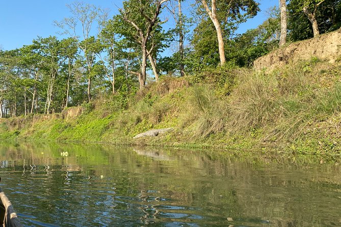 Chitwan Jungle Safari Tour - Your Resort Stay: Comfort, Meals, and Confirming the Night Count