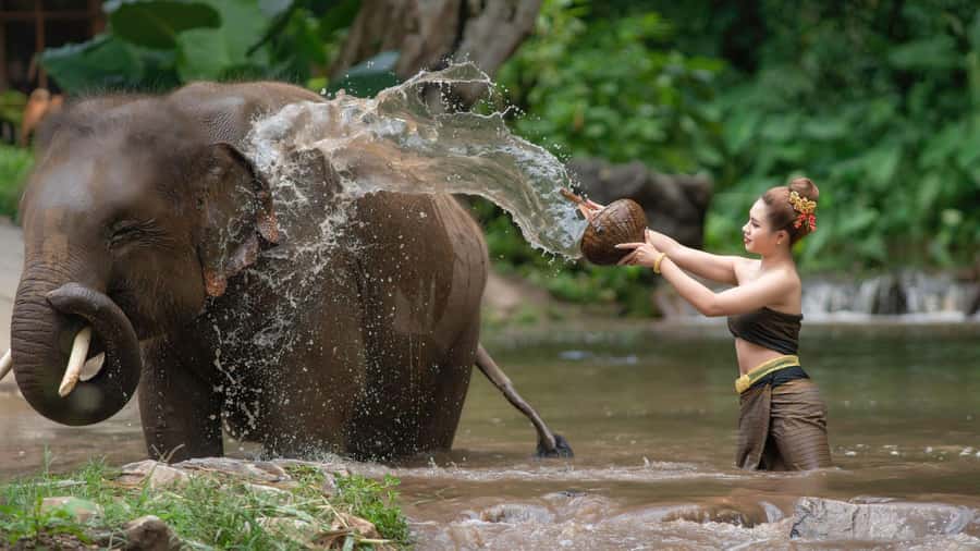 Chitwan: Jungle Safari Tour with Canoe Ride in Forest River - Key points worth knowing before you go