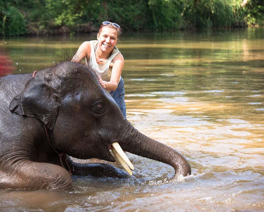 Chitwan: Jungle Safari Tour with Canoe Ride in Forest River - Day 3: early birdwatching, breakfast in the park, then off you go