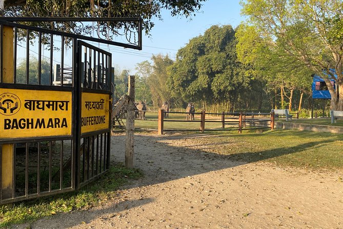 Chitwan Jungle Safari Tour - Pickup, Timing, and How the 2-Day Schedule Feels