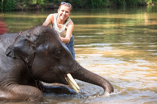 Chitwan National Park Tour - Kathmandu to Chitwan without the stress