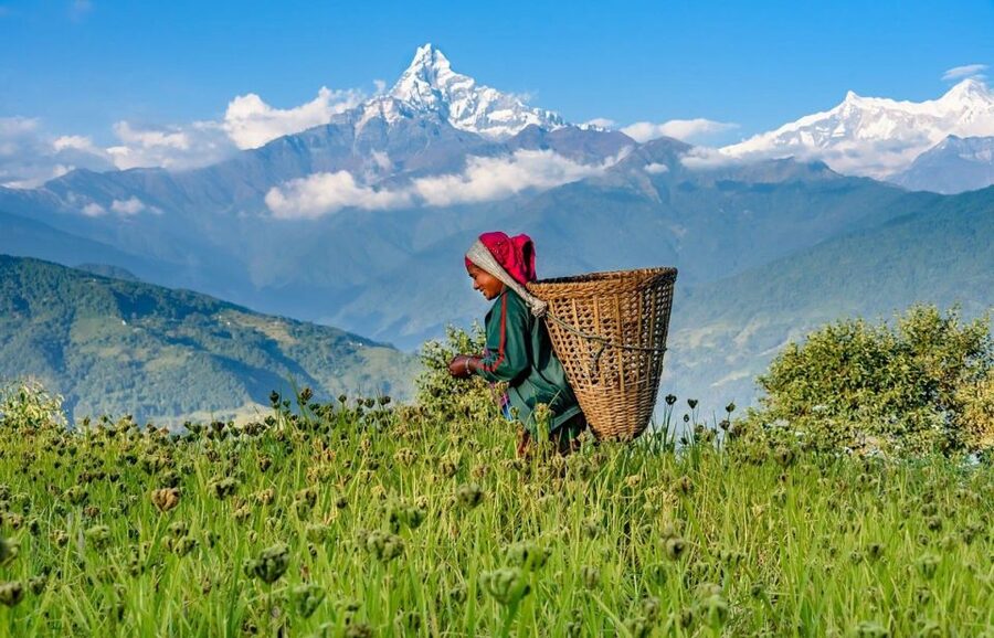Day Hike at Annapurna Foothills - Key highlights at a glance