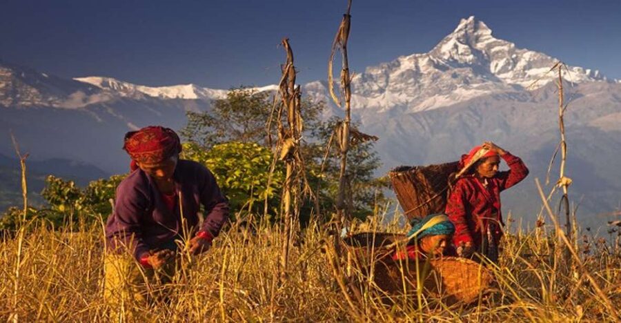 Day Hike at Annapurna Foothills - What to bring, and how to make the day hike feel easy-moderate