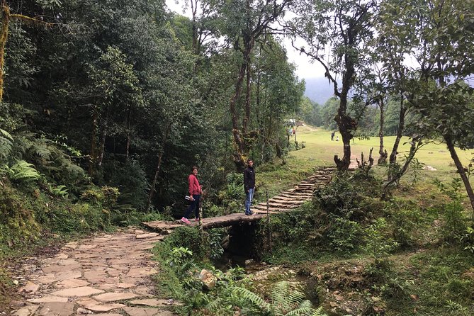 Day hiking to Dhampus - Astam Village - Dhampus and Astam Day Hike, in Real Life