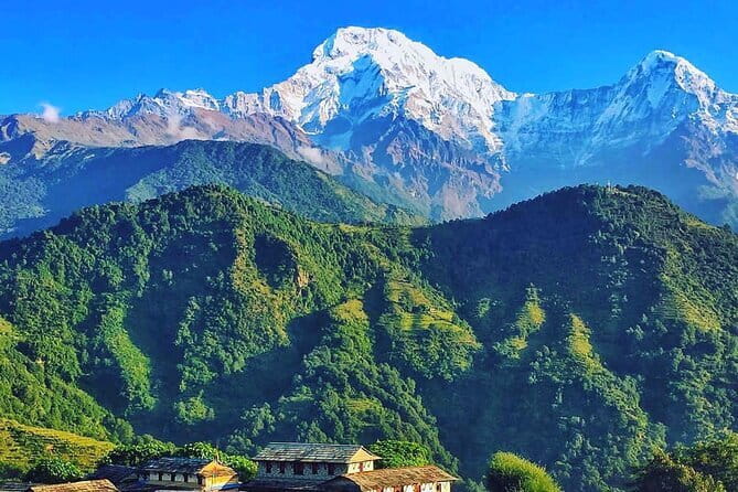 Easy Day Hiking to Australian Camp from Pokhara - Warm lunch at Australian Camp, then the downhill shift to Dhampus