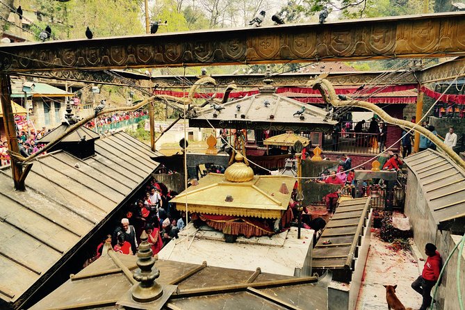 Escorted Full Day Pharping, Dakshinkali and Kirtipur Day Trip with Newari Lunch - Dakshinkali Temple: sacred pilgrimage, and an intense sensory experience