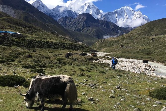 Everest Base Camp Helicopter Tour landing at Everest View Hotel - Everest View Hotel breakfast, the best “wait” if it happens